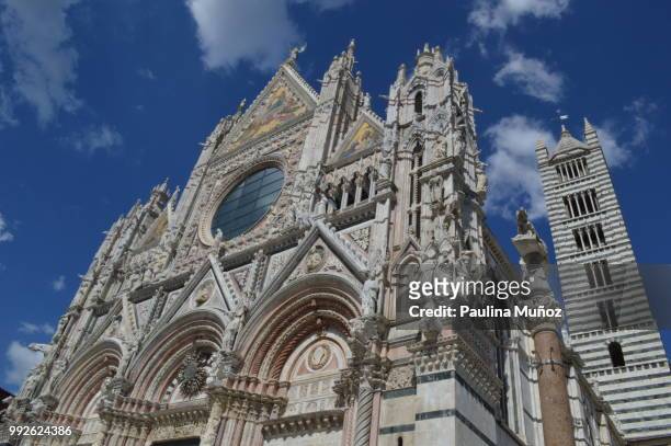 la catedral de siena, imponente hacia el cielo - kathedraal van siena stockfoto's en -beelden