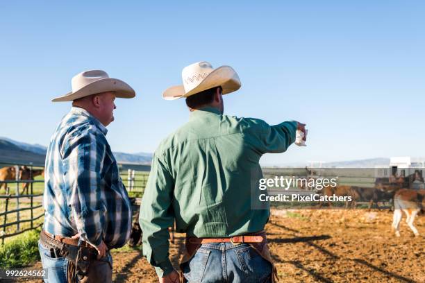 taille achteraanzicht ranchers wijzen en planning van de dagen werk dierlijke pen met jonge runderen - castration stockfoto's en -beelden
