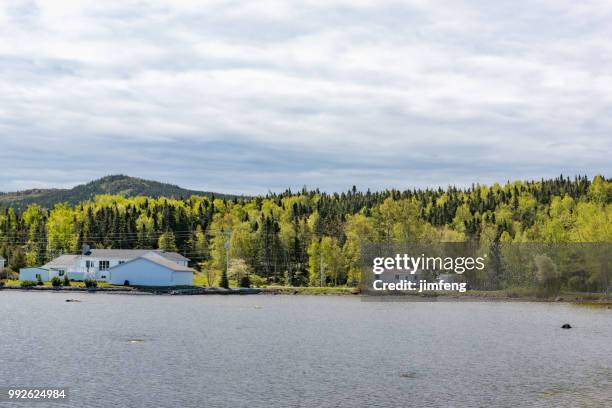 traytown - gander-newfoundland stockfoto's en -beelden