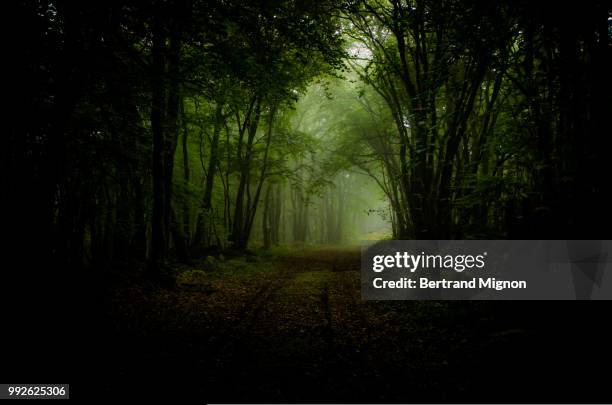 le chemin - chemin stock pictures, royalty-free photos & images