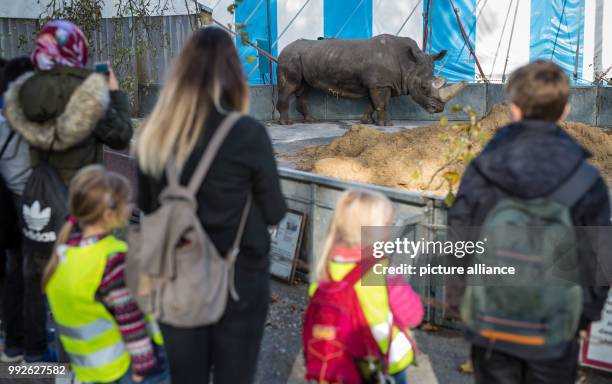 Children from different classes meet animals in the Krone Circus in Stuttgart, Germany, 26 October 2017. Photo: Christoph Schmidt/dpa