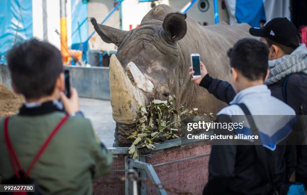 Children from different classes meet animals in the Krone Circus in Stuttgart, Germany, 26 October 2017. Photo: Christoph Schmidt/dpa