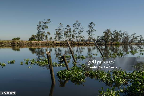 rio novo do principe - novo ストックフォトと画像