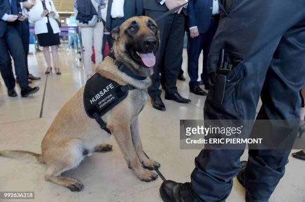 Picture shows a security dog specialised in explosive detection, during a visit of French Transport Minister at Orly Airport near Paris, on July 6,...