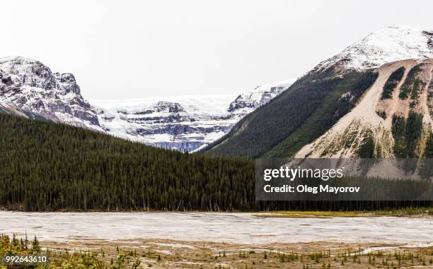 columbia icefield - columbia icefield bildbanksfoton och bilder