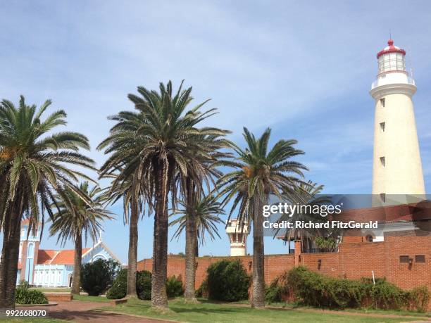 the lighthouse and palm trees of punta del este - este stock pictures, royalty-free photos & images