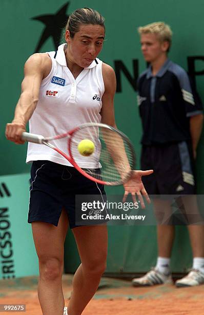 Francesca Schiavone of Italy in her Quarter final match against Martina Hingis of Switzerland during the French Open Tennis at Roland Garros, Paris,...