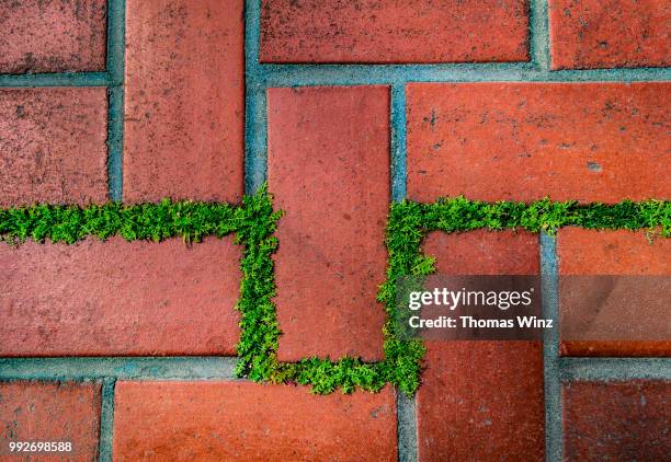 282 Random Tile Pattern Stock Photos, High-Res Pictures, and Images ...