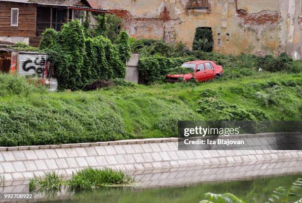 nature takes control - romanian ruins stock pictures, royalty-free photos & images