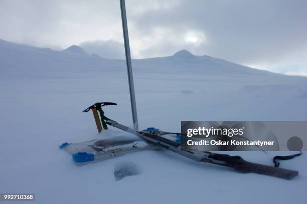 svalbard - oskar stock pictures, royalty-free photos & images