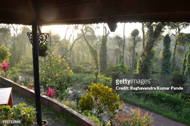 day break at coorg - coorg stock pictures, royalty-free photos & images