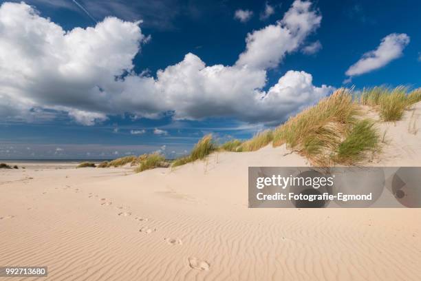 footsteps in the sand - fotografie ストックフォトと画像