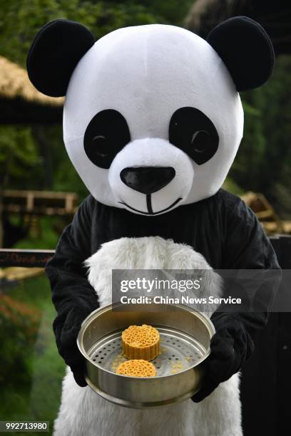 Keeper dressed in panda uniform shows food that is prepared for giant pandas at the Yunnan Wildlife Park on July 3, 2018 in Kunming, Yunnan Province...