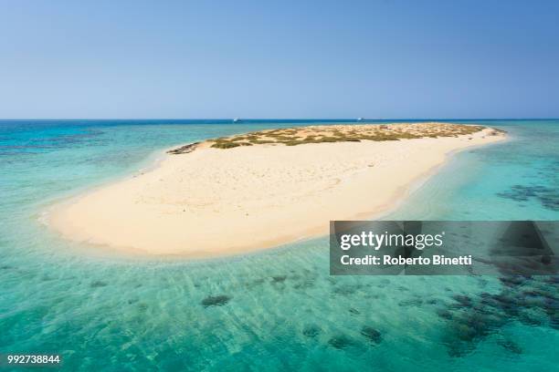 egypt island near hamata - binetti stock pictures, royalty-free photos & images