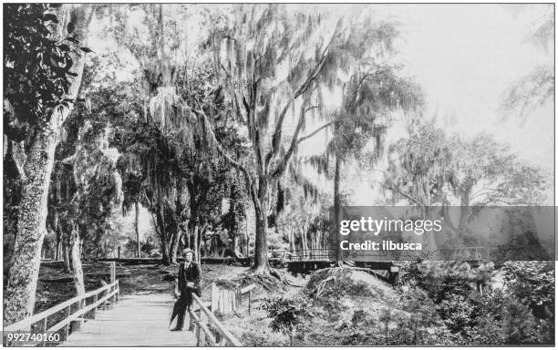 antique photograph of america's famous landscapes: bienville park, mobile, alabama - mobile alabama stock illustrations