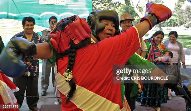 Two Andean peasant women wearing skirts and T-shirts with the colors of their national flags, Peru and Bolivia, measure themselves in a boxing ring...