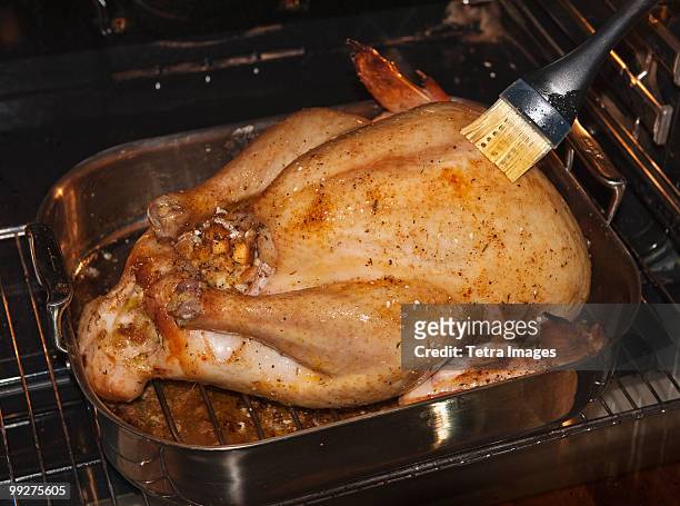 basting a turkey - basted stock pictures, royalty-free photos & images