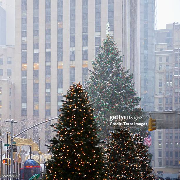 christmas trees downtown - rockefeller centre stockfoto's en -beelden