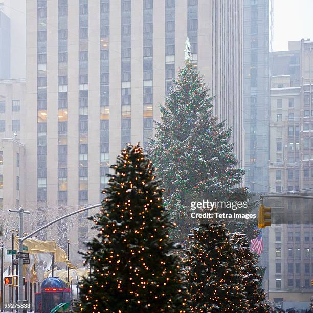 christmas trees downtown - 洛克翡勒中心聖誕樹 個照片及圖片檔