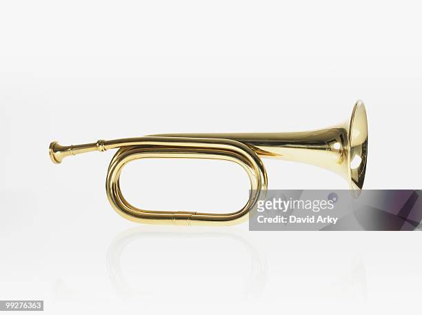 bugle - blaasinstrument stockfoto's en -beelden