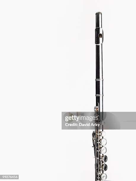 flute - flautist stock pictures, royalty-free photos & images