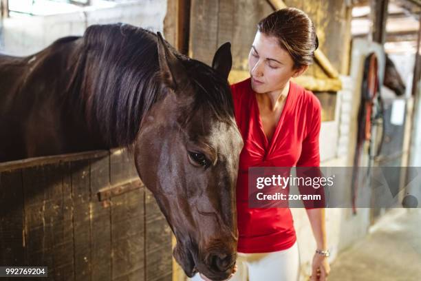 woman standing close to horse - grace tame stock pictures, royalty-free photos & images