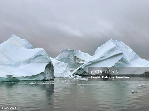 arctic iceberg group - scoresby sund stock pictures, royalty-free photos & images