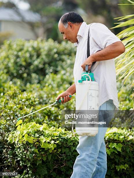 man watering shrubs - spraying weeds stock pictures, royalty-free photos & images