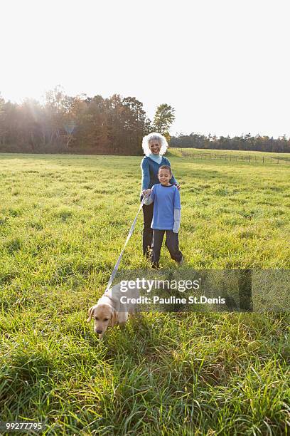 boy walking dog on a leash - new paltz foto e immagini stock