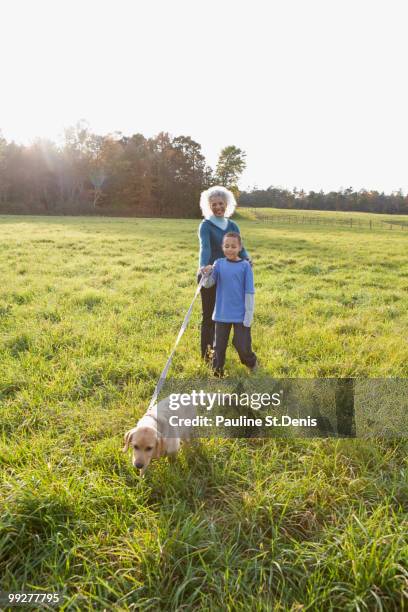 boy walking dog on a leash - new paltz stock pictures, royalty-free photos & images
