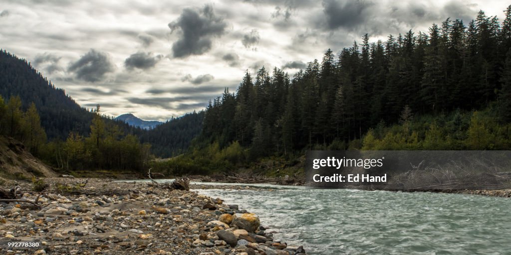 Lemon Creek on a Gray Cloudy Day