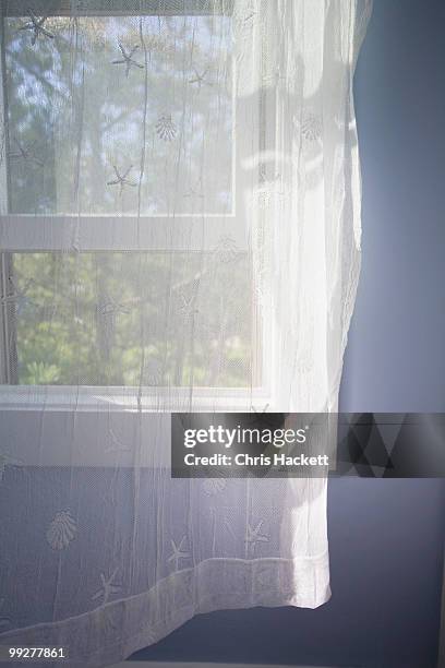 sheer curtains - hackett fotografías e imágenes de stock