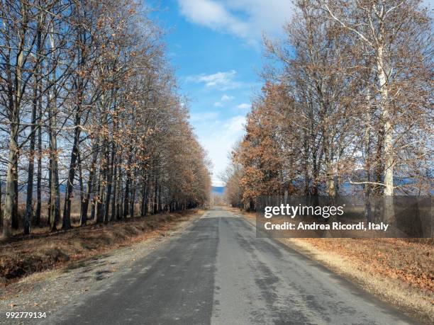 empty road in kakheti countryside, georgia - ricordi stock pictures, royalty-free photos & images