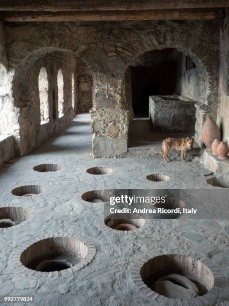 nekresi monastery complex : old wine cellars. kakheti region, georgia - ricordi stock pictures, royalty-free photos & images