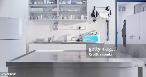 salle d’examen en clinique vétérinaire - clinique vétérinaire photos et images de collection