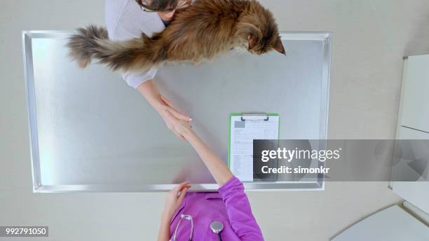 veterinarian shaking hands with pet owner - cat shaking stock pictures, royalty-free photos & images