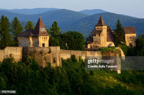 3,380 Dvor Stock Photos, High-Res Pictures, and Images - Getty Images