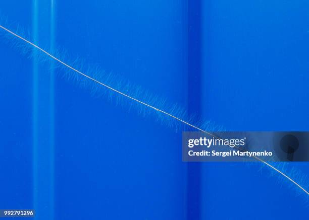 Fluff Out Photos and Premium High Res Pictures - Getty Images