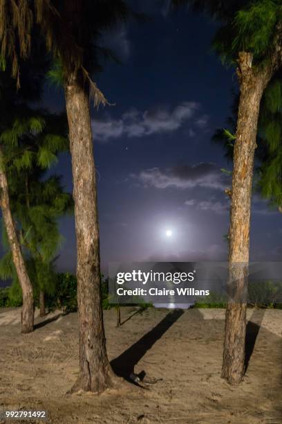 Esny Pointe D’esny Photos and Premium High Res Pictures - Getty Images