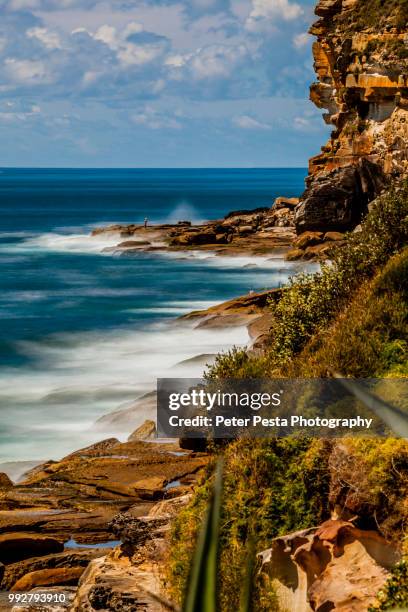 dee why coast - dee why sydney stock pictures, royalty-free photos & images