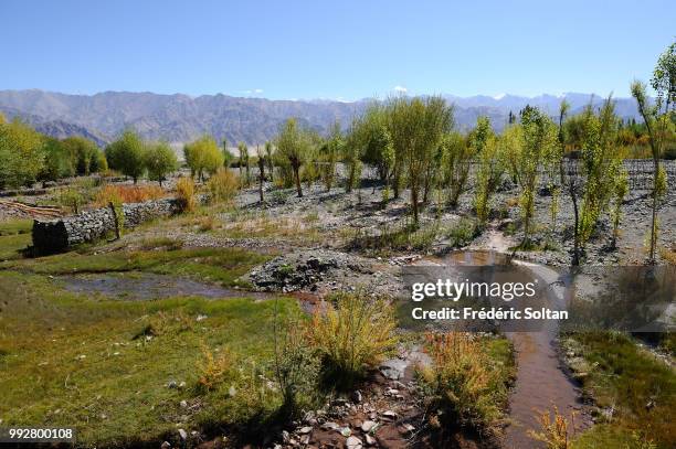 Magnificent landscape and daily life in Ladakh, Jammu and Kashmir on July 12 India.