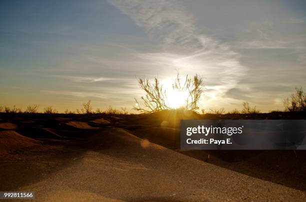 koore gaz sunset on sands - gaz stock-fotos und bilder