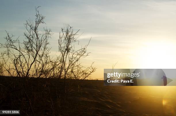 sunset in koore gaz - gaz imagens e fotografias de stock