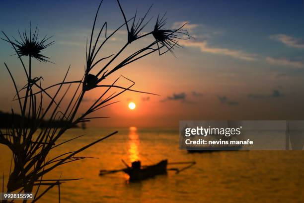 sunset at octopus bay, east nusa tenggara, indonesia - east nusa tenggara fotografías e imágenes de stock