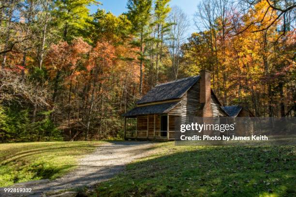 the henry whitehead homestead located in cades cove in the great smoky mountains national park is surrounded by colorful fall foliage. - cades cove foto e immagini stock