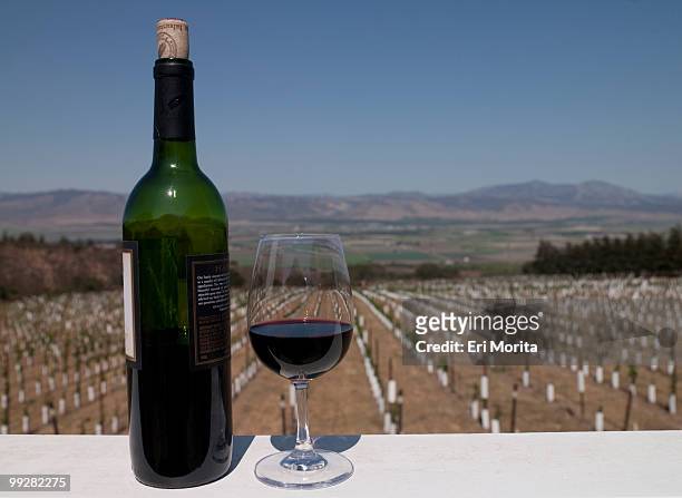 red wine and vineyard - soledad stock pictures, royalty-free photos & images
