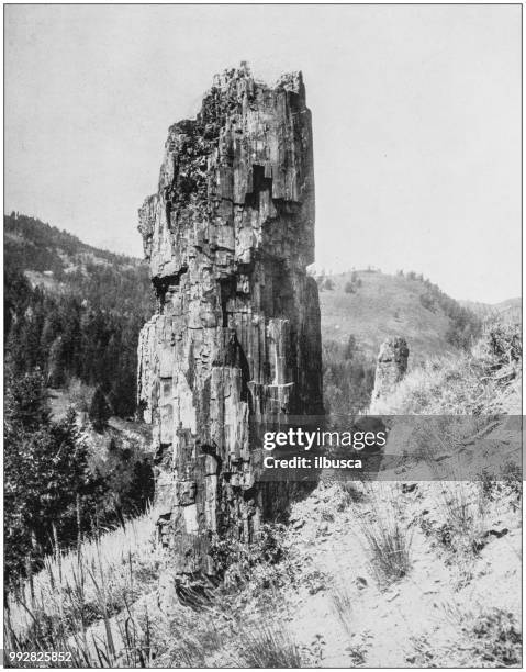 antique photograph of america's famous landscapes: petrified tree, bad lands of dakota - badlands fossil stock illustrations