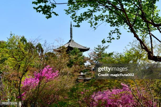 spring at ninna-ji temple, kyoto - five story pagoda stock pictures, royalty-free photos & images
