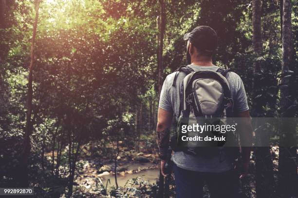 探索叢林 - kuk 個照片及圖片檔