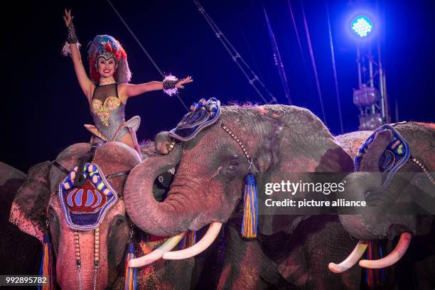 Elephants being presented to the audience during the premiere of the Krone Circus at the Cannstatter Wasen festival grounds in Stuttgart, Germany, 26...